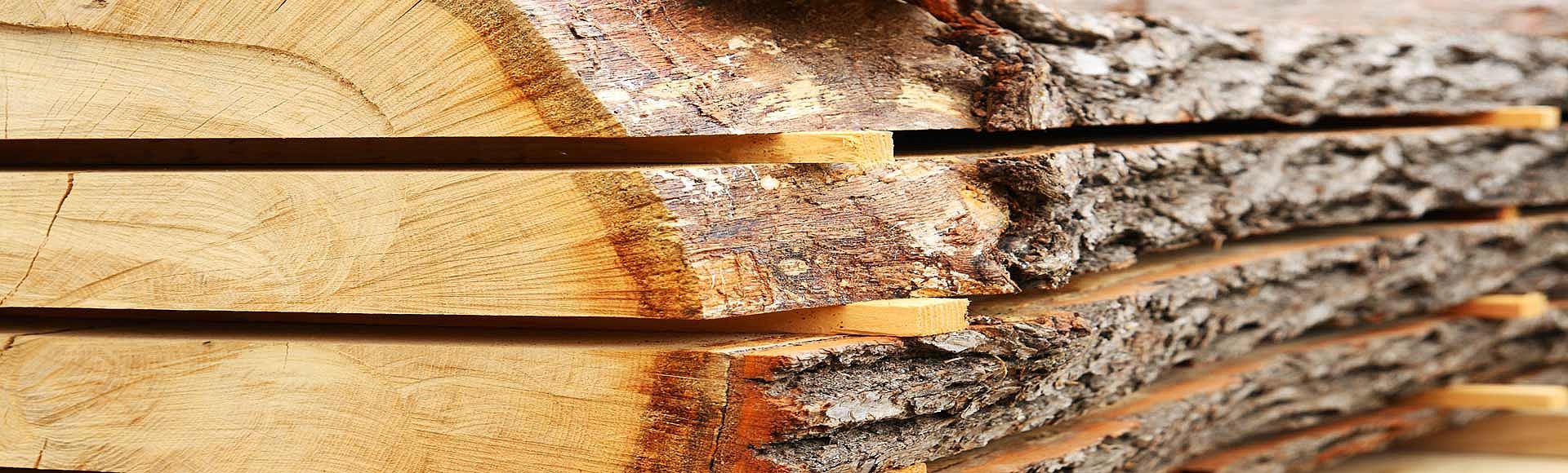 Holz, Bauholz, KVH, BSH & Platten und mehr aus Apolda